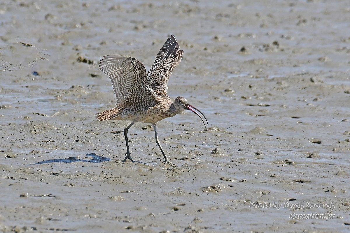 DSC_3413.jpg