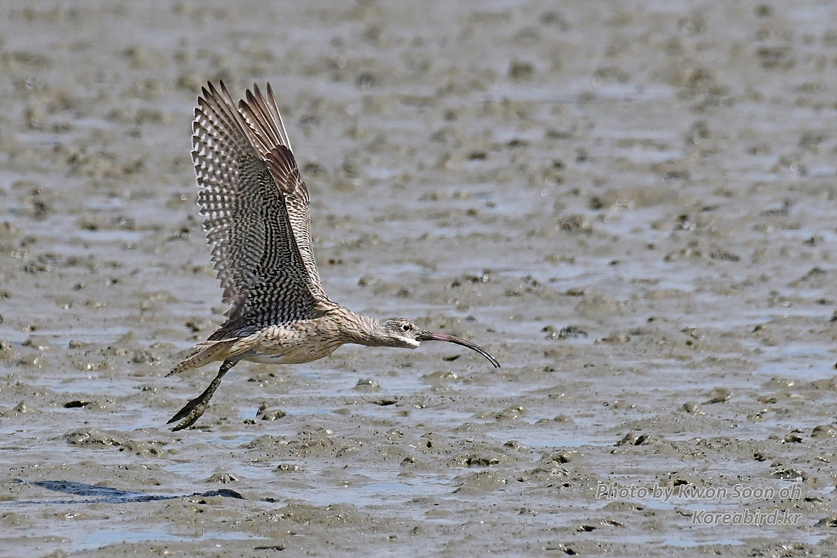 DSC_3395.jpg