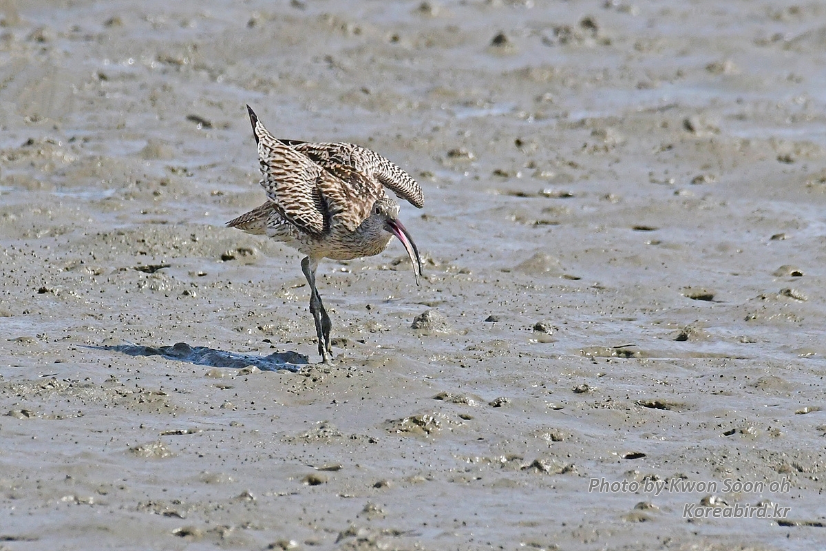 DSC_3416.jpg