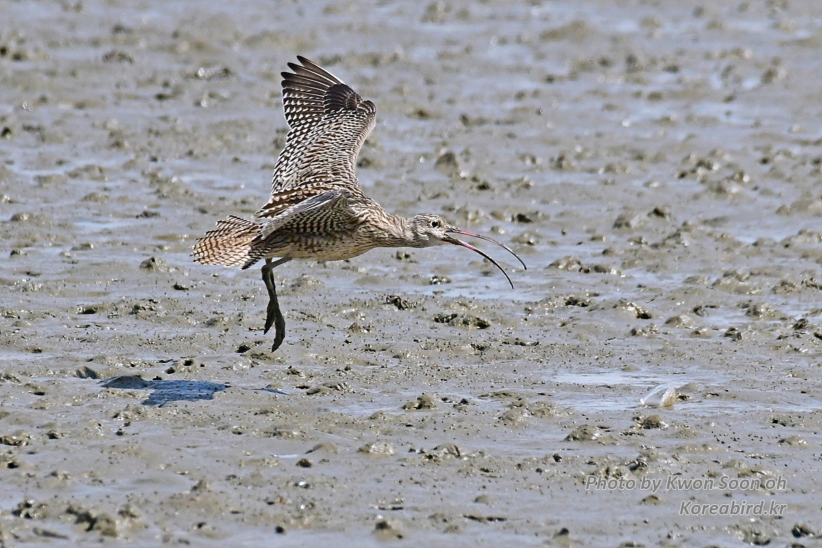 DSC_3404.jpg