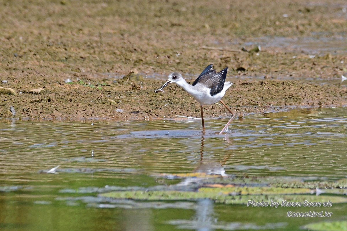 DSC_5438.jpg