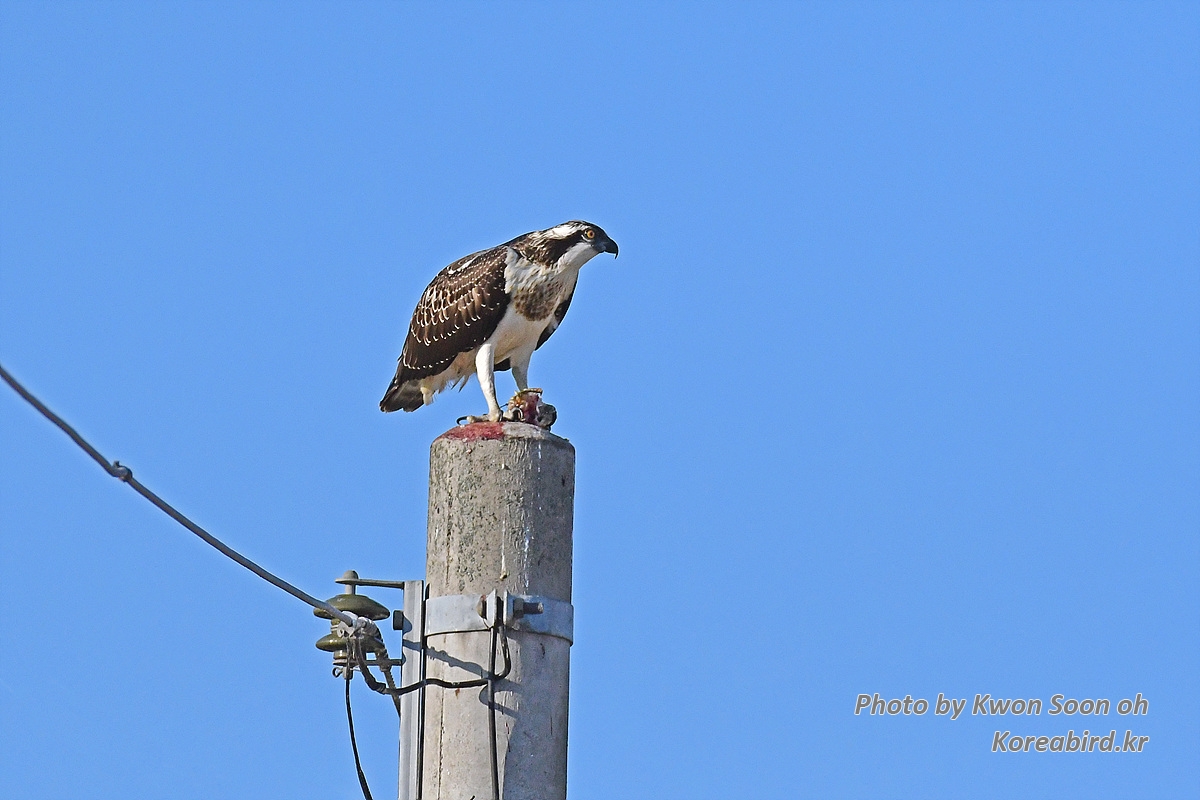 DSC_9494.jpg