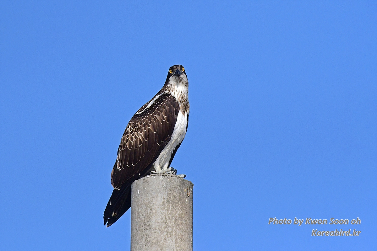 DSC_4416.jpg