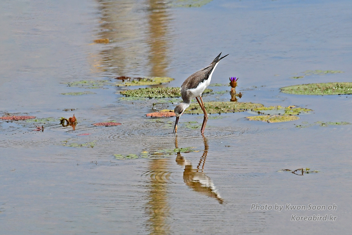 DSC_5671.jpg