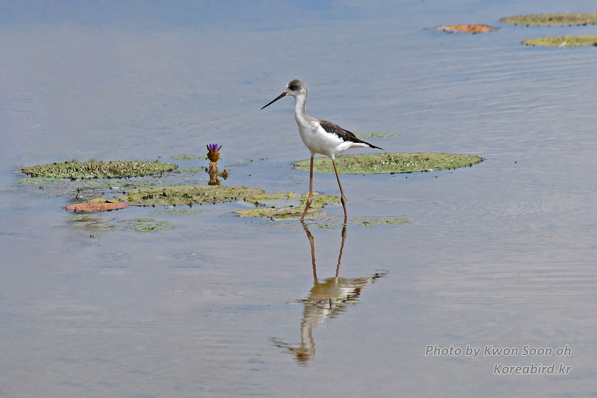 DSC_5632.jpg