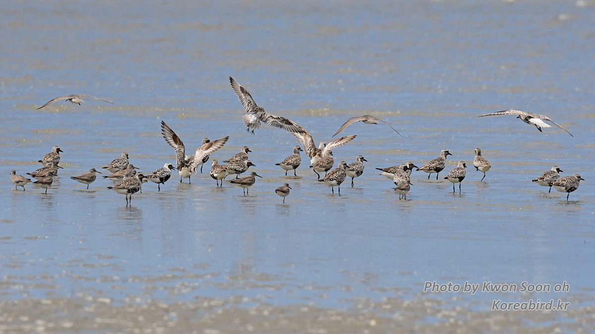 DSC_7374.jpg