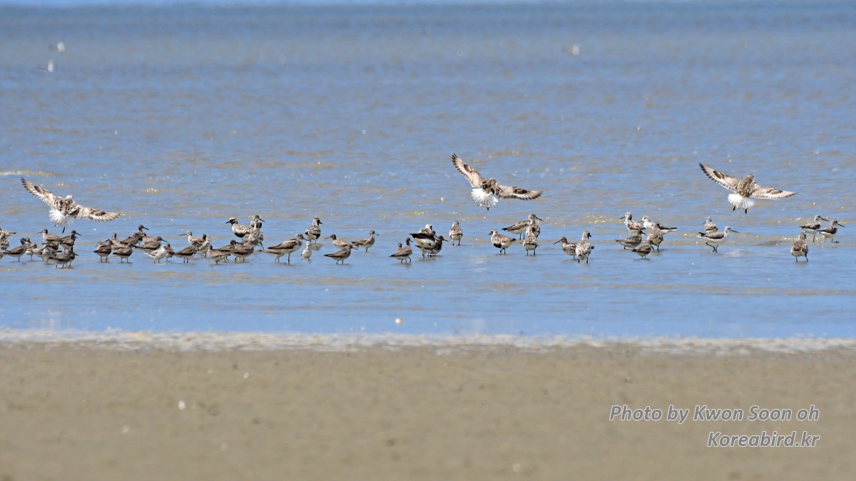 DSC_6850.jpg