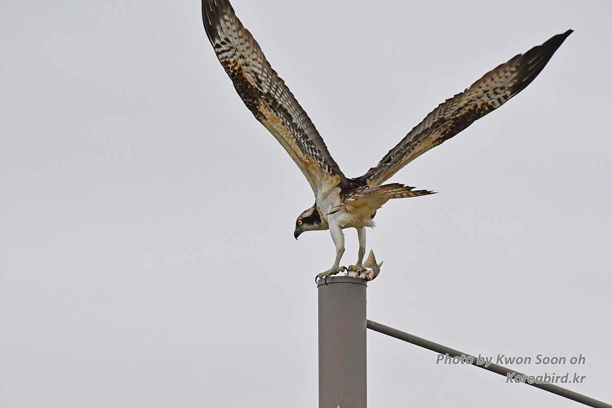 DSC_1208.jpg