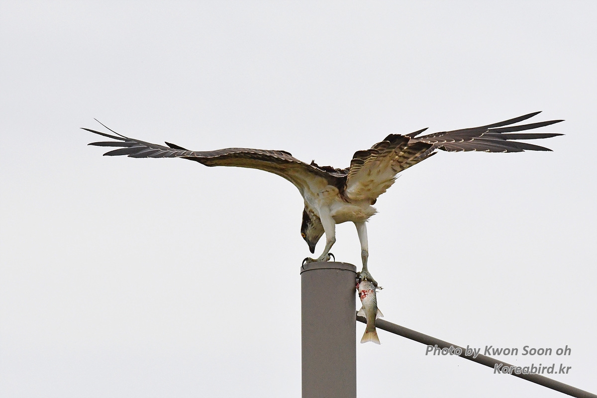 DSC_1199.jpg
