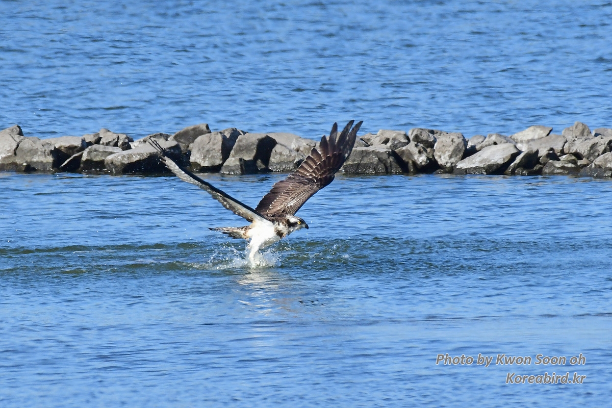 DSC_3285.jpg