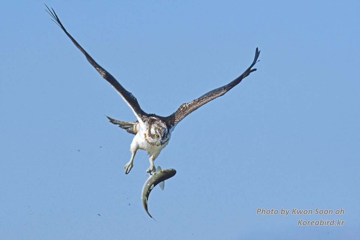 DSC_3368.jpg