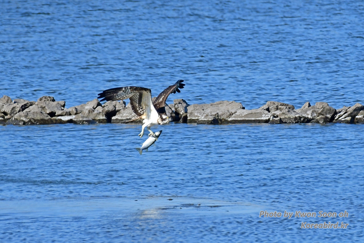 DSC_3298.jpg