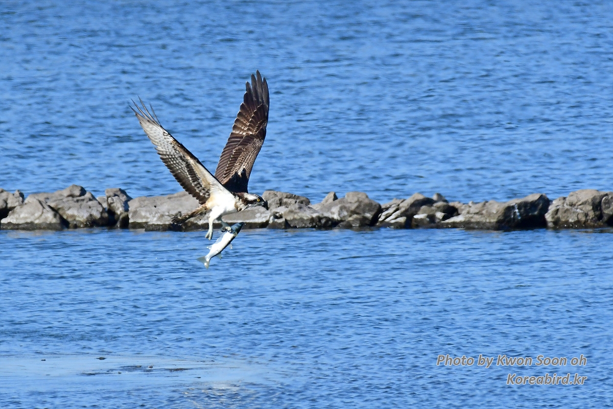 DSC_3301.jpg