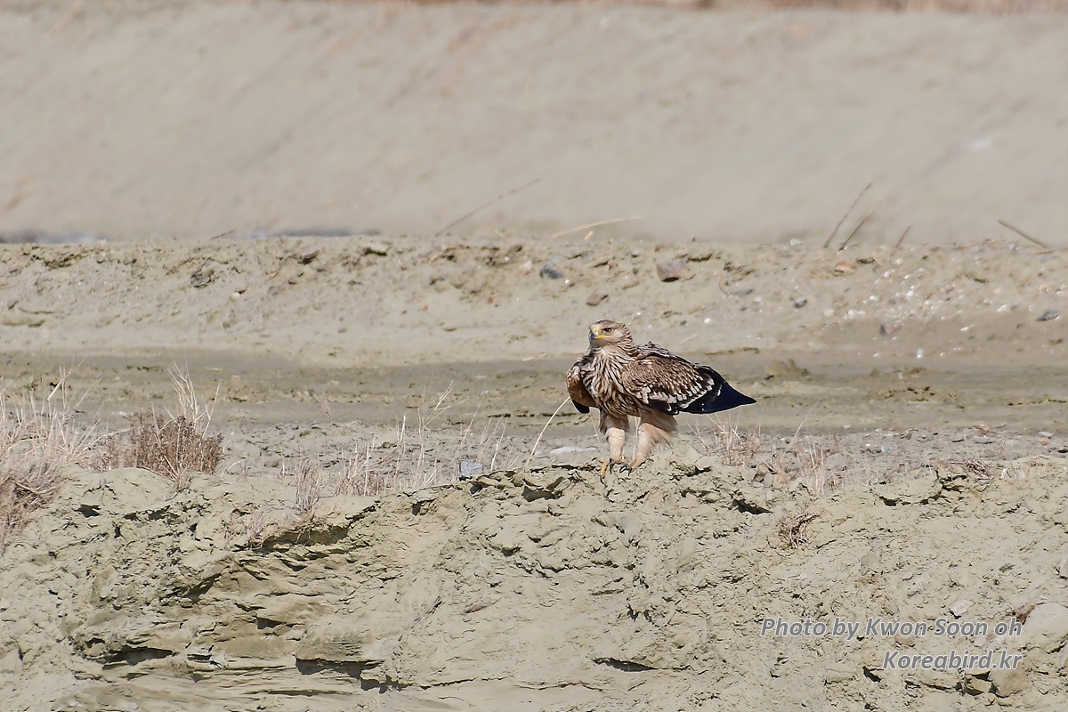 KSO_3549.jpg
