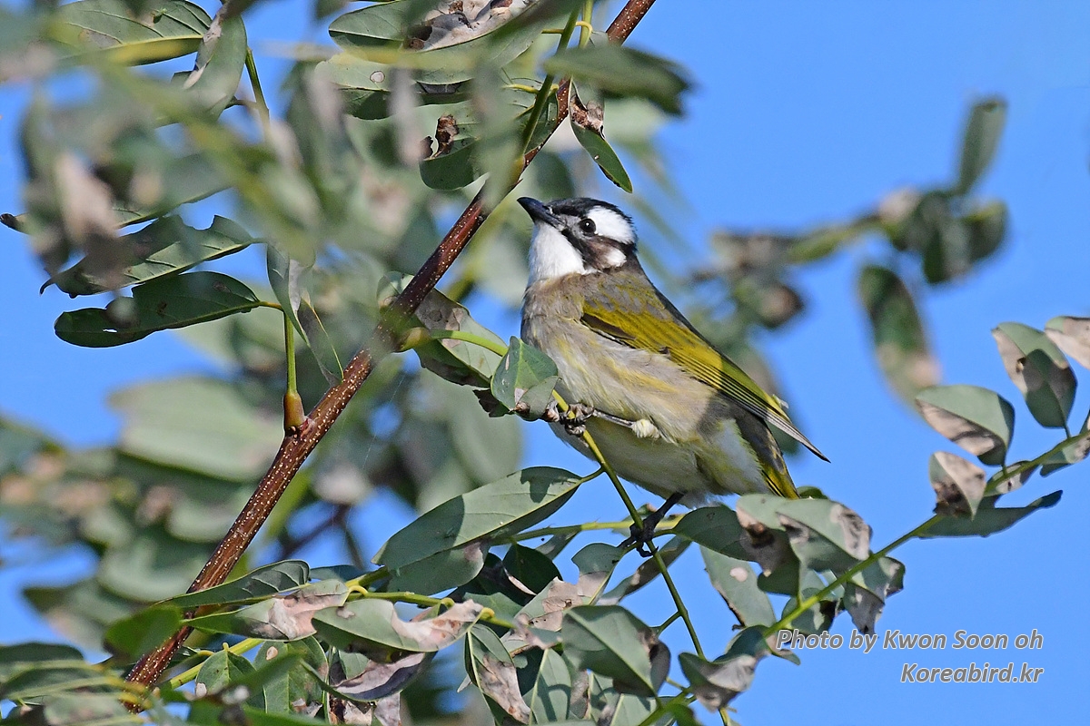DSC_7024.jpg