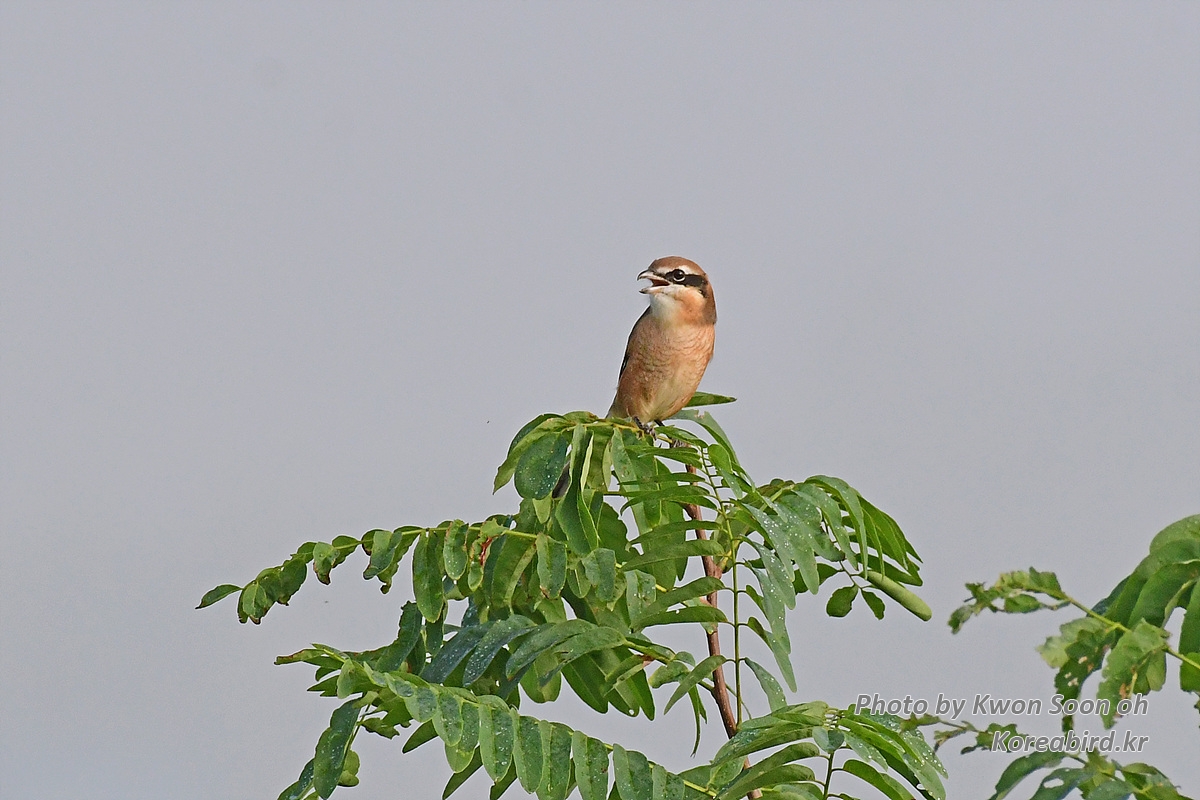DSC_7973.jpg