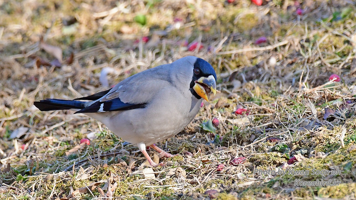 DSC_7778.jpg
