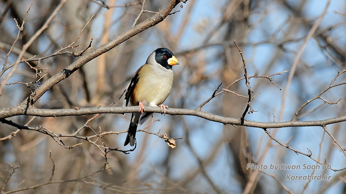 DSC_1491.jpg