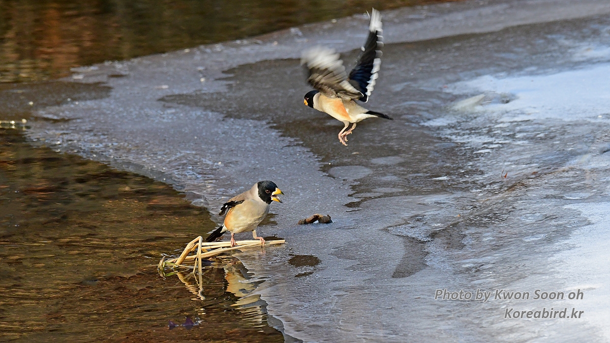DSC_8927.jpg