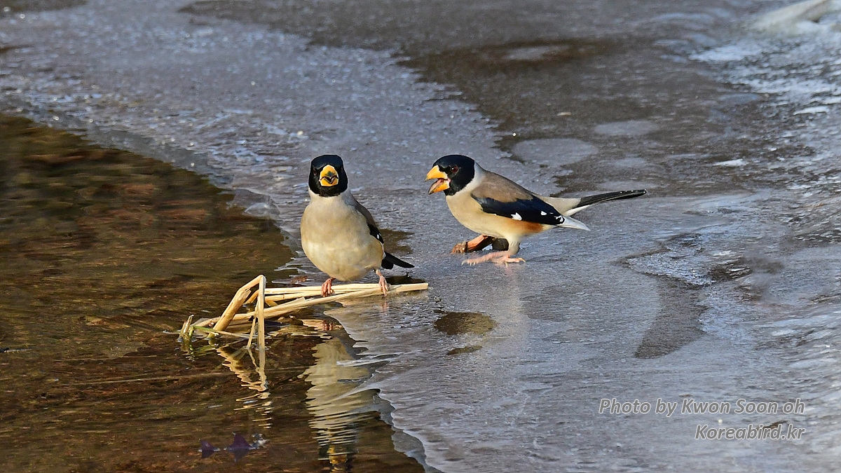 DSC_8923.jpg