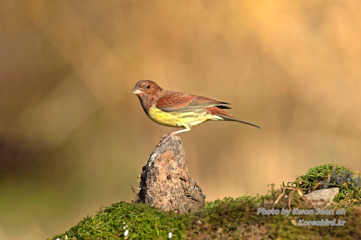 DSC_1548-1.jpg