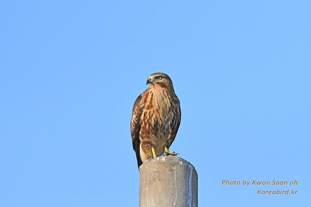 DSC_2868.jpg