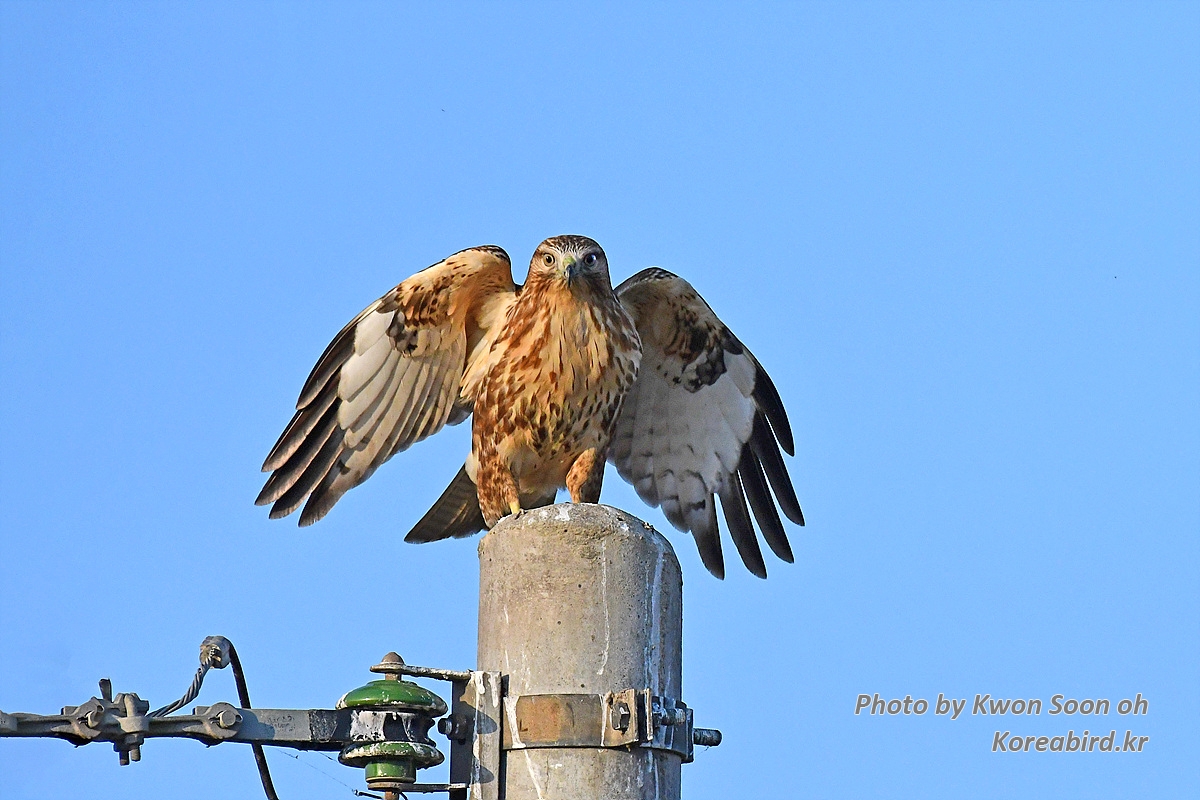 DSC_2851.jpg