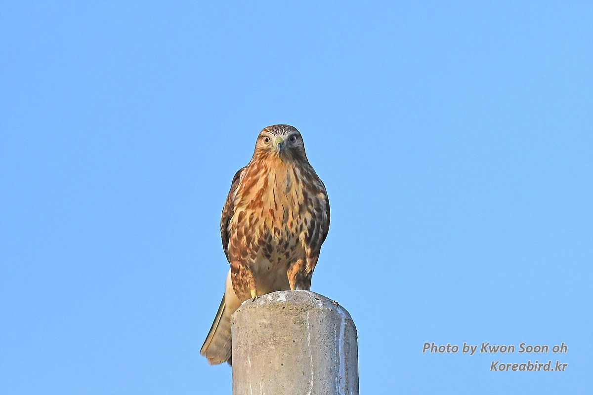 DSC_2857.jpg
