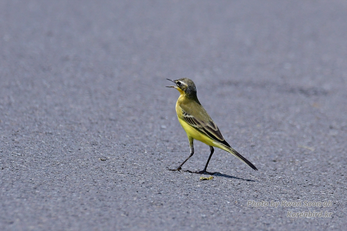DSC_8886.jpg