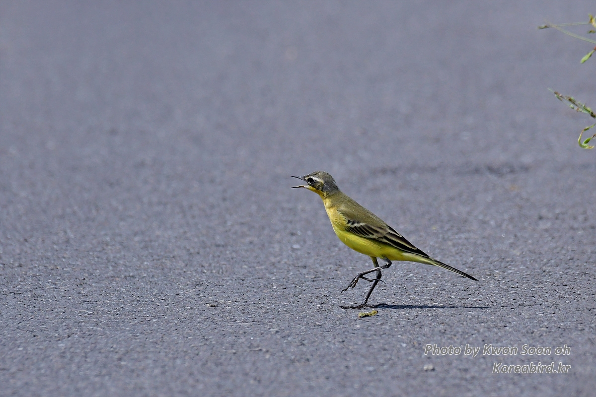 DSC_8884.jpg