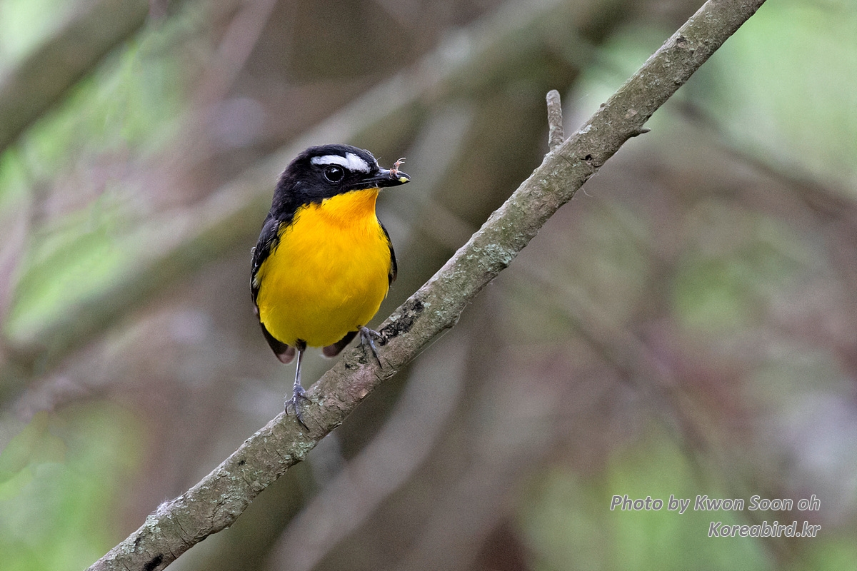 DSC_8136.jpg