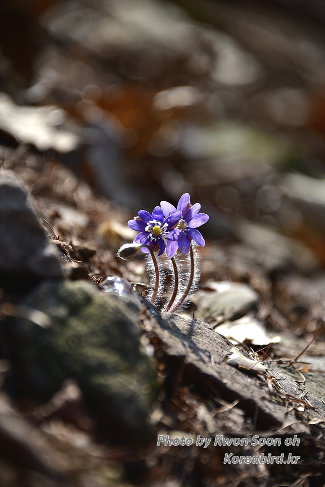DSC_2877.jpg