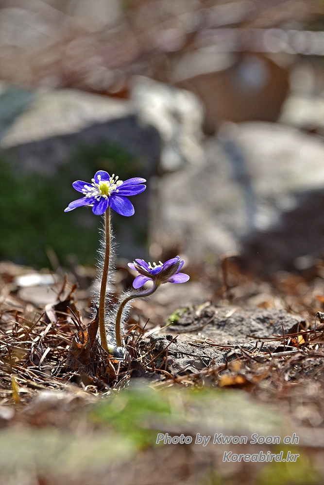 DSC_2859.jpg