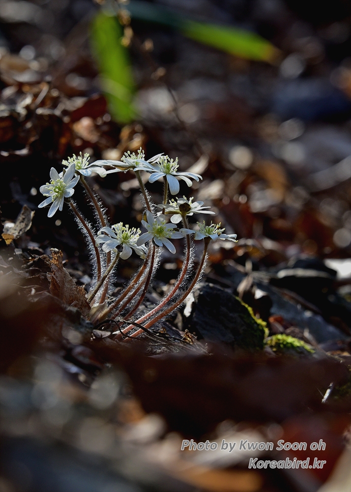 DSC_3023.jpg