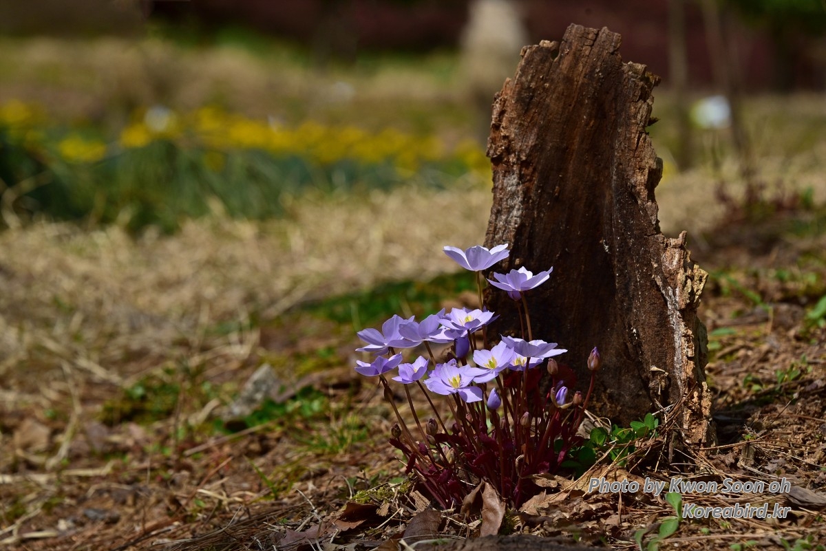 DSC_8369.jpg