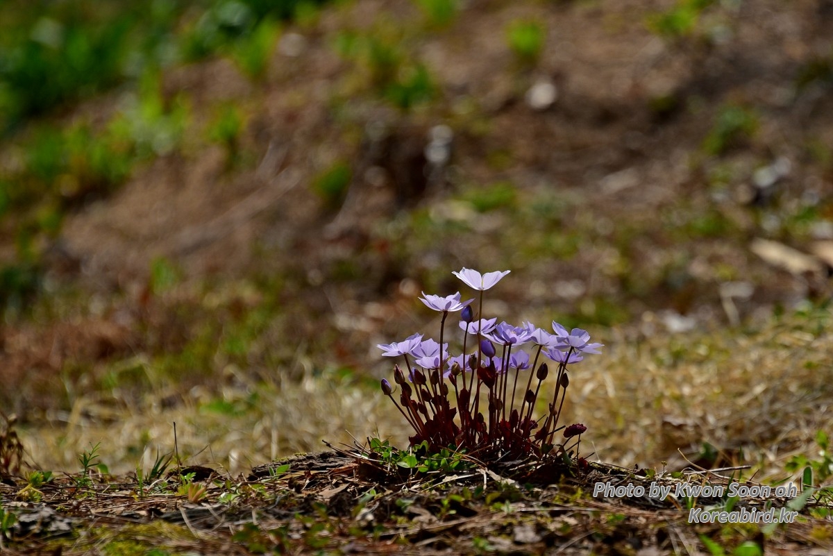 DSC_8414.jpg