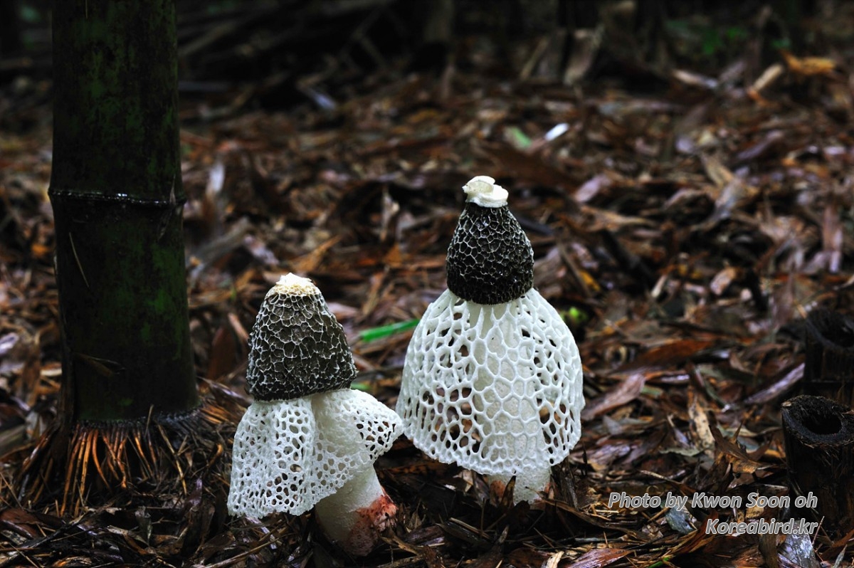 DSC_2099_172.jpg