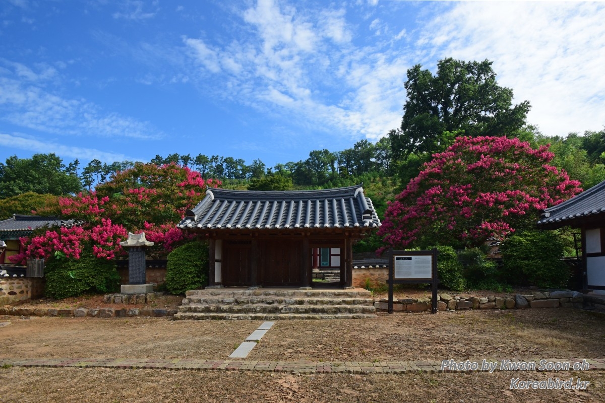 KSO_4626.jpg