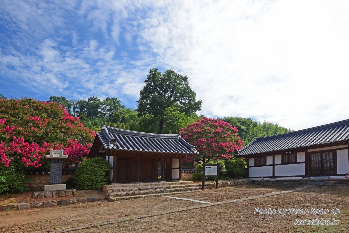KSO_4651.jpg