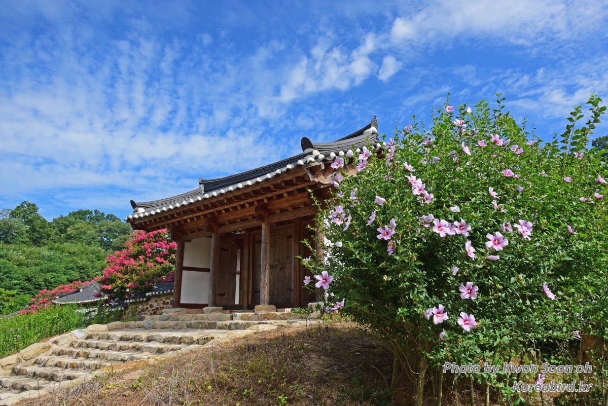 KSO_4663.jpg