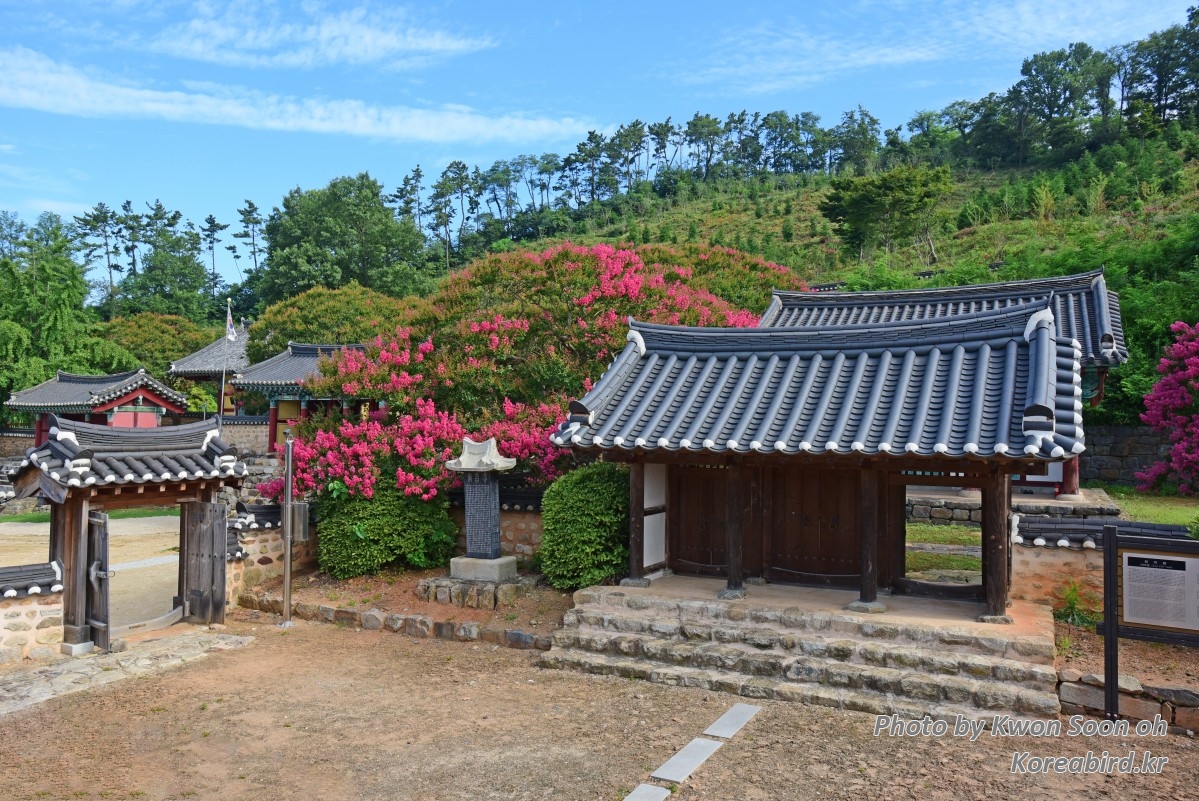 KSO_4606.jpg
