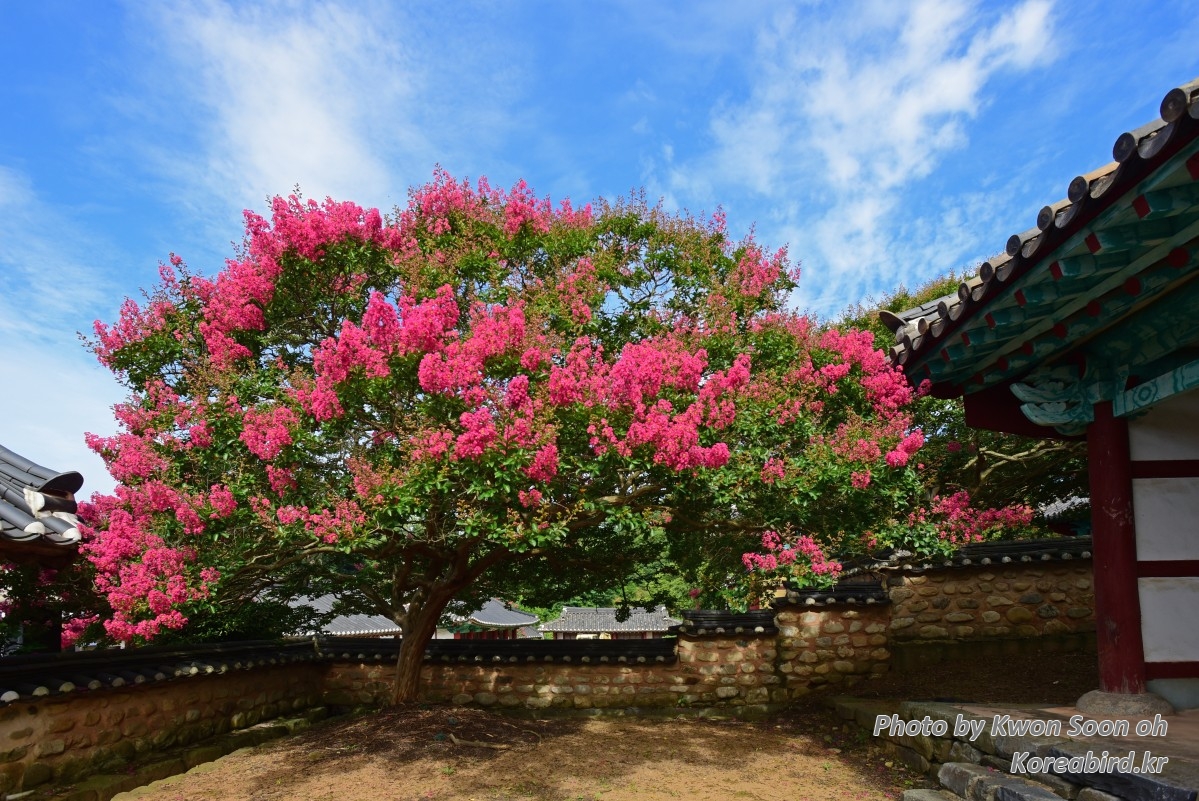 KSO_4634.jpg