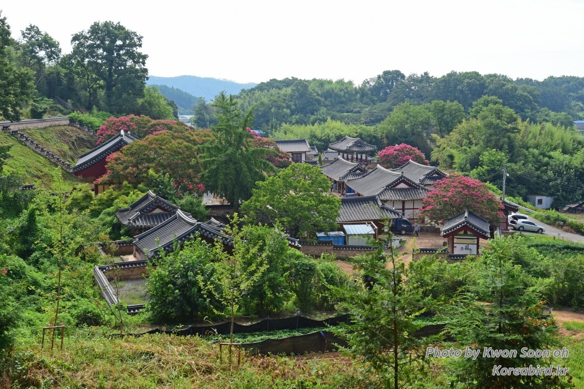 KSO_4676.jpg