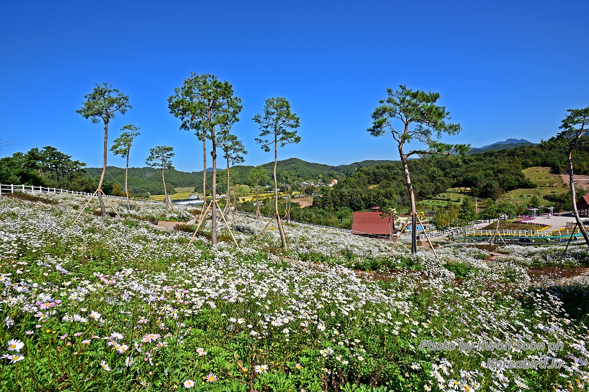 DSC_8592.jpg