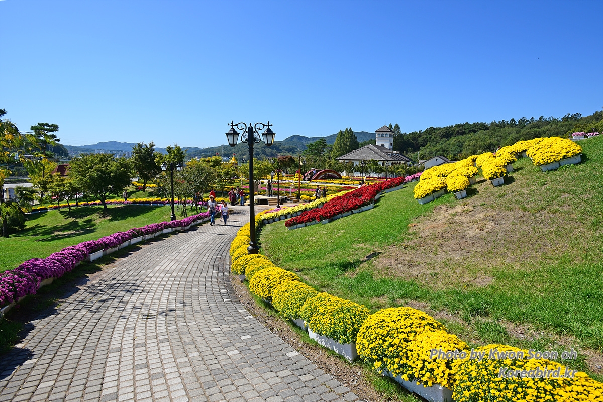 DSC_8661.jpg