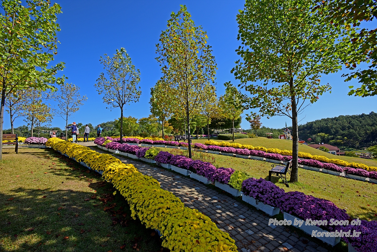 DSC_8547.jpg