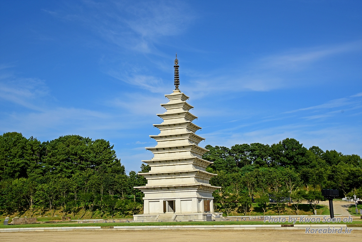 KSO_6024.jpg