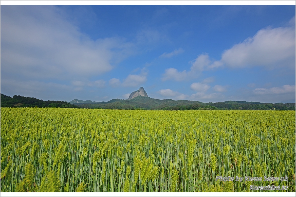 KakaoTalk_20210831_224914978.jpg