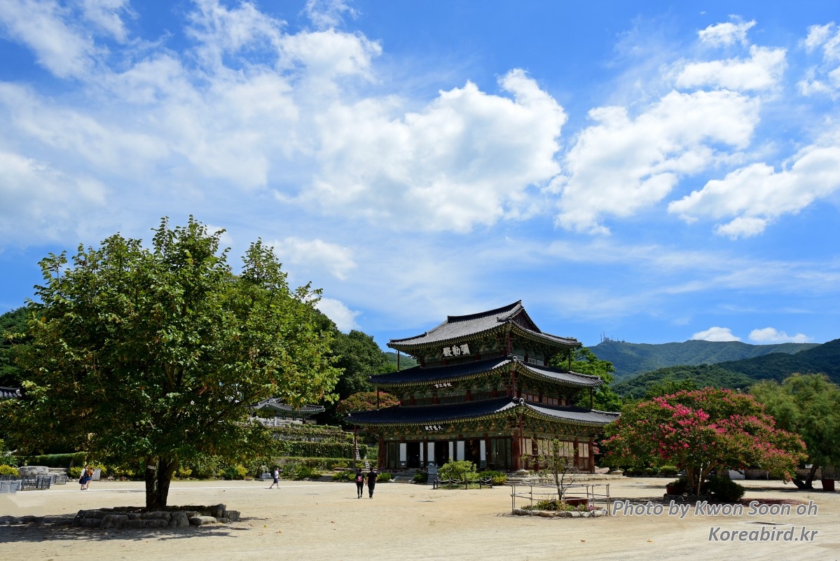 금산사1.jpg