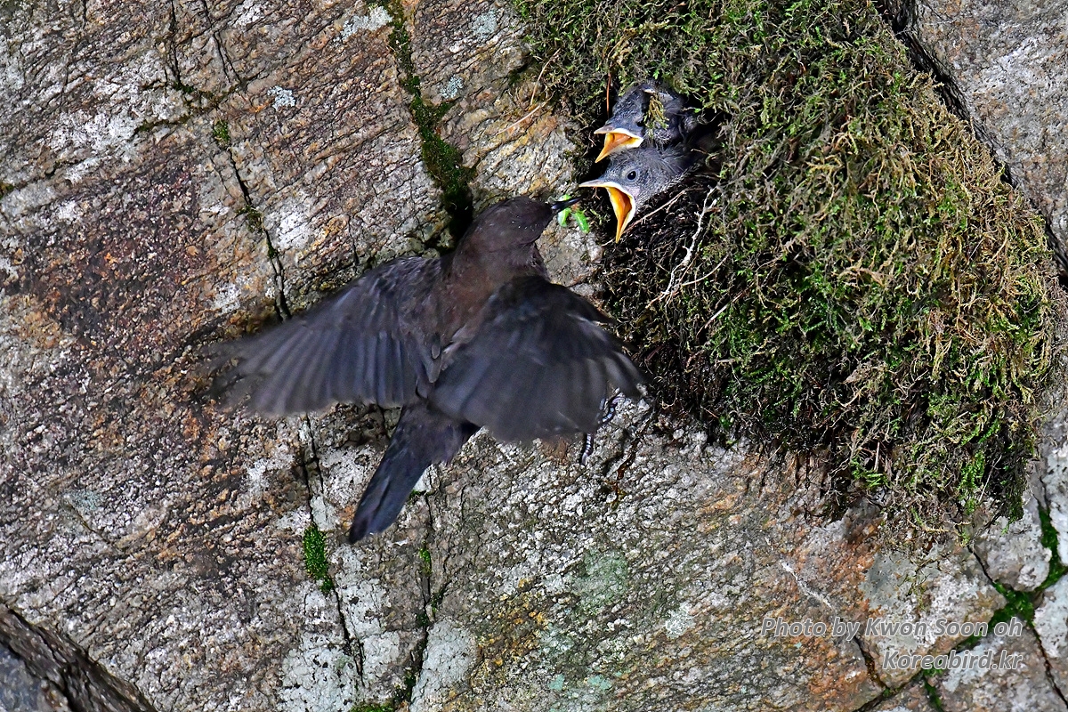 DSC_4307.jpg